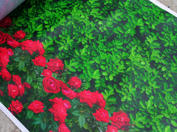 重庆印花防寒布定制-轻型保湿透气防冻布厂家直销