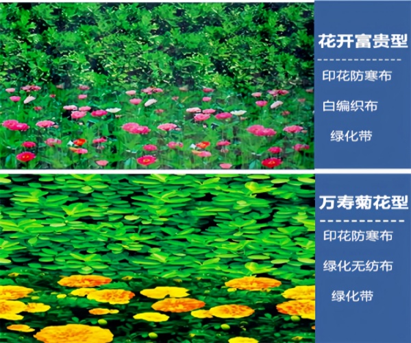 北方绿化防寒布源头厂家|耐寒抗冻无纺布批发