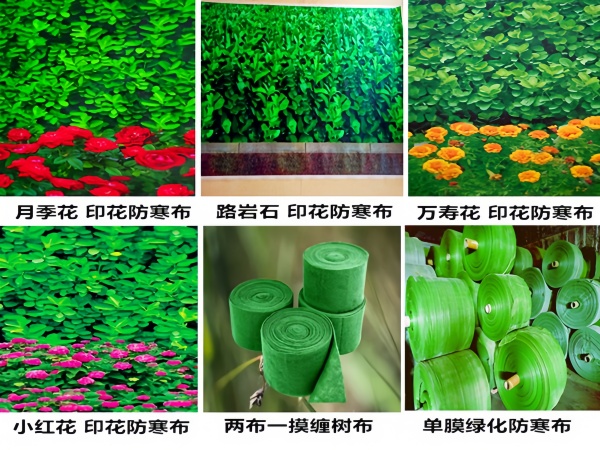 青岛/绿化防寒布 园林苗木冬季防寒无纺布供应批发